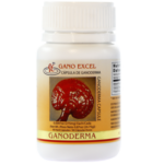 Capsulas Ganoderma